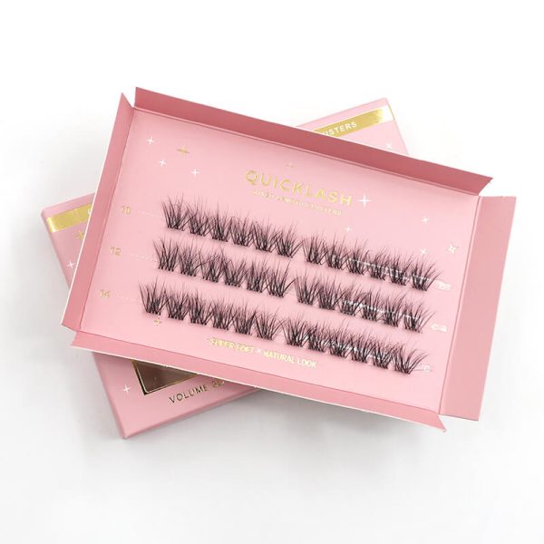 1689909710 segment lashes kit